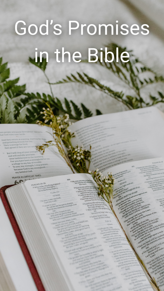 God's Promises in the Bible